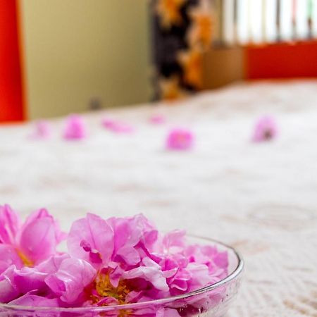 פאבל באניה Family Hotel Kavrakovi מראה חיצוני תמונה